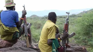Plateau: Suspected bandits storm mining site, shoot miner dead 