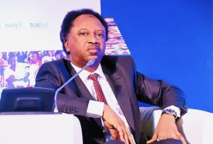 Osun Election: ‘You’re wasting your time’ — Shehu Sani reacts to Davido’s Trump appeal