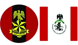 NDLEA, Army raid Edo drug hub, seize 604.5kg skunk
