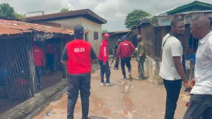 NDLEA dismantles drug black spots in Ogun, arrests 12 suspects