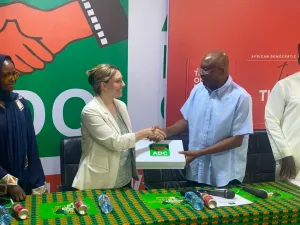 2027: David Mark meets officials of US pro-democracy [PHOTOS]