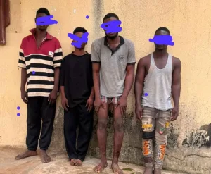 Osun: Police arrest armed robbery syndicate, recover AK-47, ammunition
