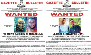 Nigeria Police declare two persons wanted over alleged murder in Lagos