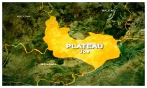 Pastor dies after snakebite in Plateau community