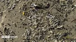 Denmark nurdles may be from Tyne spill, agency says