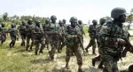 Troops rescue two kidnap victims, recover 94 rustled livestock in Kaduna, Kano