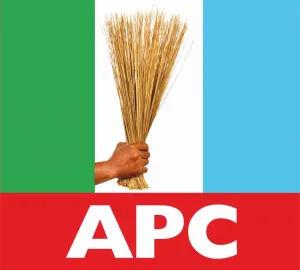 2027: ‘Leave if you won’t support APC’ – FCT chairman threatens residents [VIDEO]