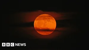 Keep an eye out for tonight's Strawberry Moon