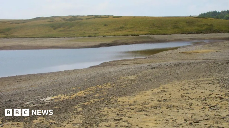 Drought declared across whole of Wales as conditions 'deteriorate'