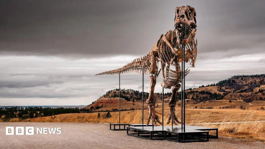 T. rex could become most expensive fossil ever - but it's a ​problem for scientists