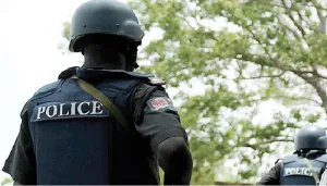 Police arrest suspect, recover stolen tricycle in Yobe