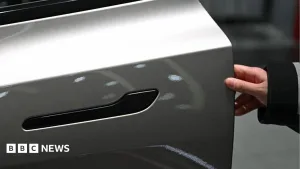 Nearly 3 million Teslas recalled in China over hidden door handles
