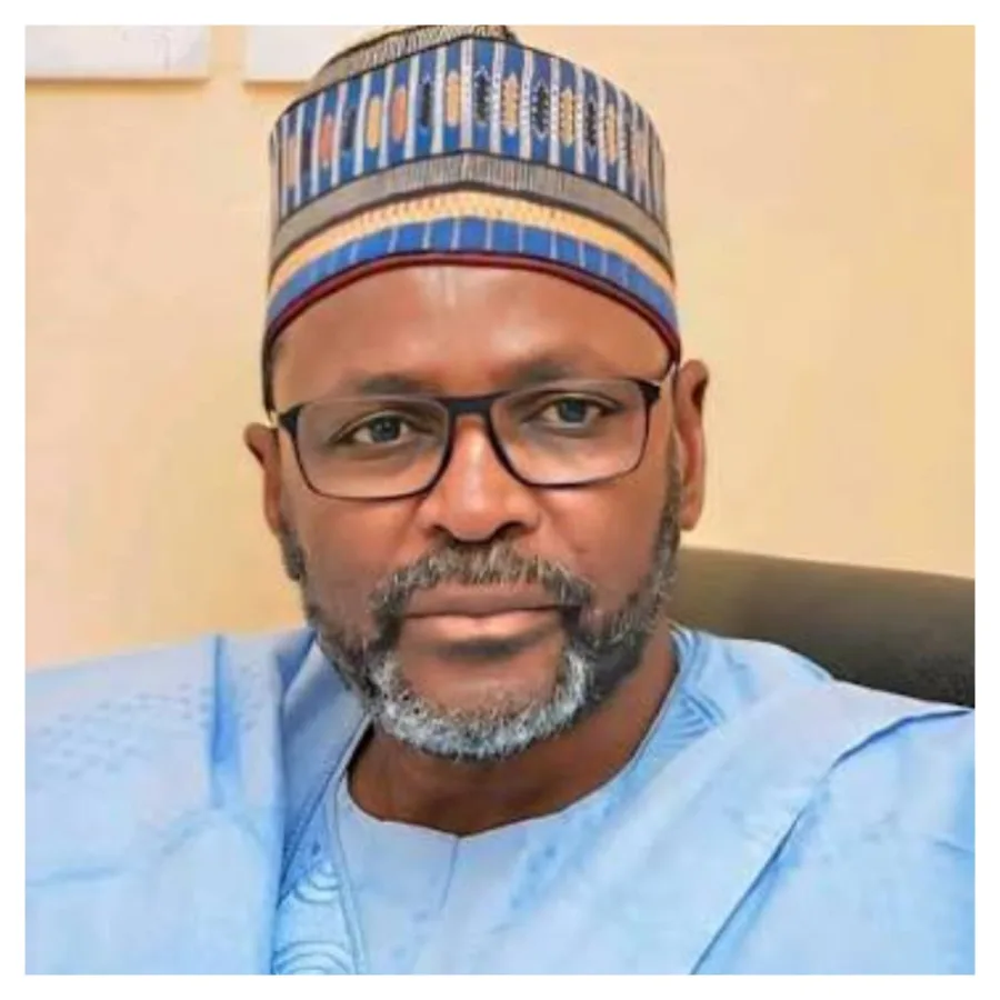 ADC accuses PDP of splitting opposition votes ahead of 2027 elections