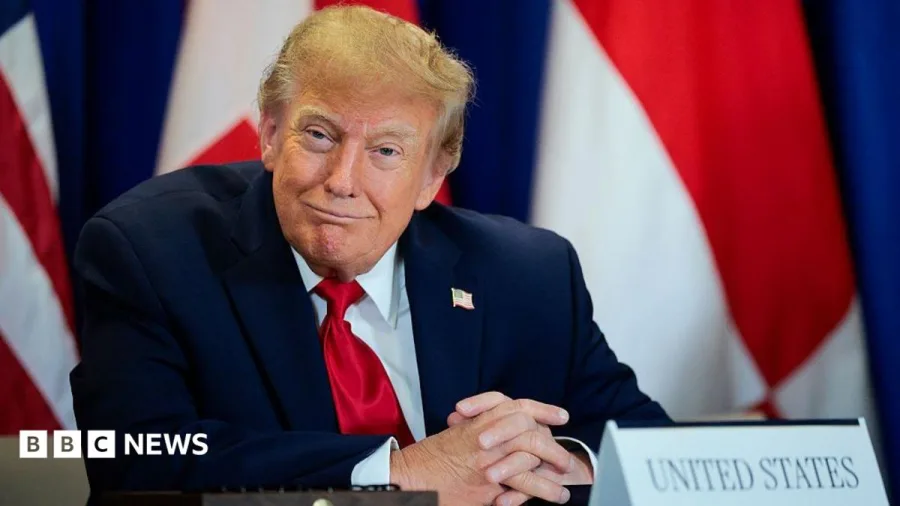 Trump's AI rebrand causes 'unprecedented' demand for Slovenian website names