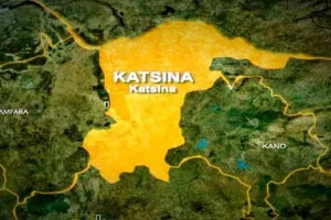Twenty-four bandits neutralized as Army, DSS foil mass abduction in Katsina