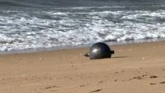 Australia probes mystery space balls that washed up on beach