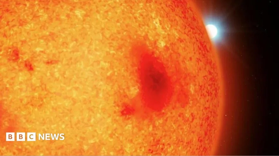Astronomers' surprise at discovery of new stars