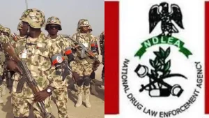 Troops, NDLEA arrest five suspected drug dealers in Sapele