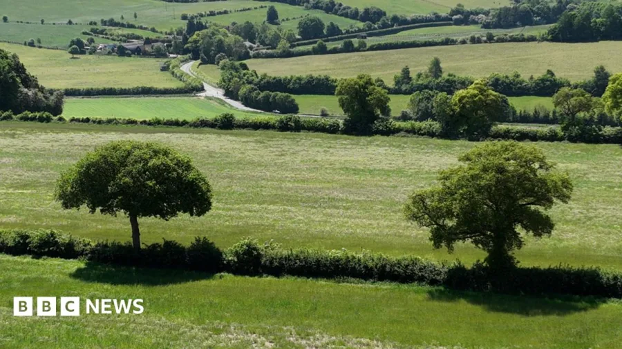 Former farmland to be restored to boost wildlife