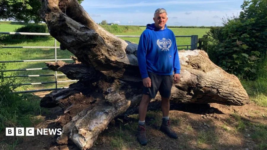 Gates smashed and crops destroyed as farmers threatened by gangs hunting hares