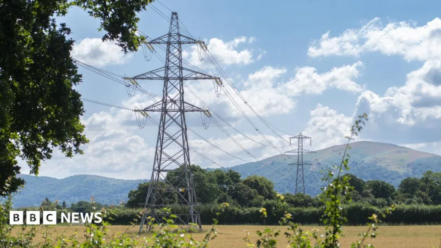 Farmers 'vindicated' after judge's ruling on pylon firm accessing land