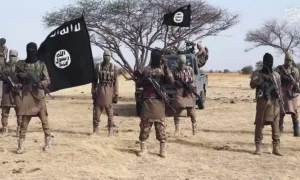Major blow for ISWAP as 17 family members surrender to troops in Borno