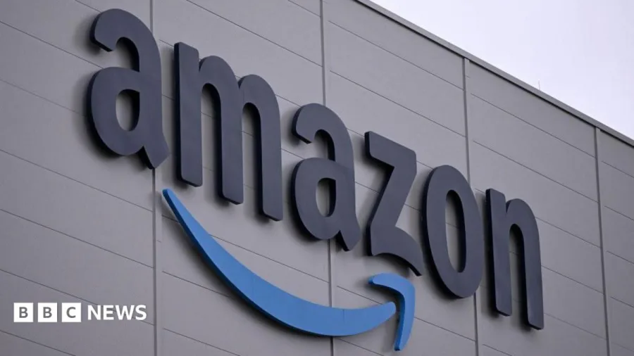 Amazon bars breastfeeding boss from business course