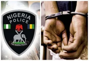 Police arrest man, recover cut-to-size single barrel gun in Delta community