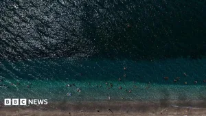 Ocean heat records broken as hottest July temperature recorded