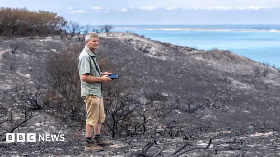 'Upsetting' that camp fire likely led to rare habitat blaze