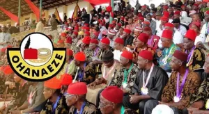  lgbo Day 2026: Ohanaeze demands accountability, LG autonomy from S’East govs
