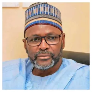 ADC accuses PDP of splitting opposition votes ahead of 2027 elections