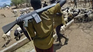 Suspected herdsmen reportedly kill 5,987 NKST members, destroy 753 churches in Benue