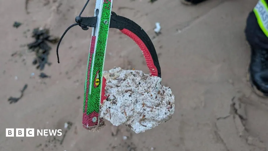 Dog warning as suspected palm oil washes up on beach