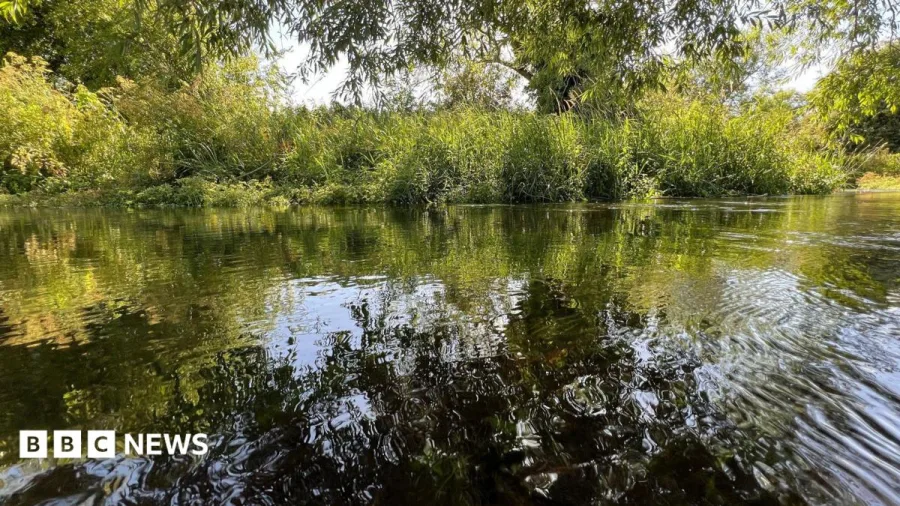 Thames Water 'flagship' chalk stream rated as poor