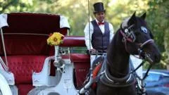 Some New Yorkers back ban on horse-drawn carriages, but drivers fear for incomes