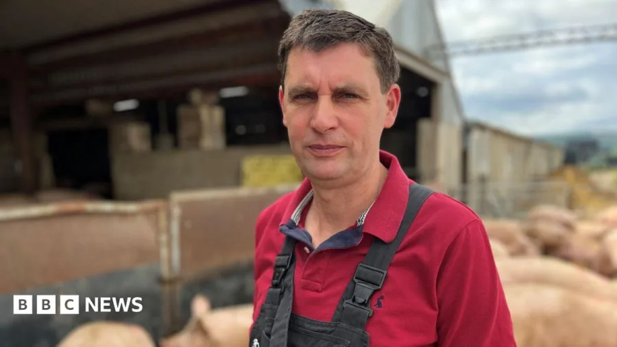 Struggling pig farmers say £2m support package 'not enough'