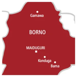 ISWAP suffers heavy blow as air strikes destroy gun trucks in Borno