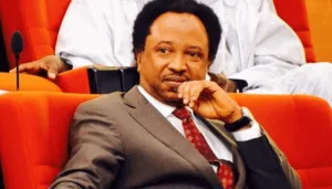 Mineral deal: Nigerians should know details – Shehu Sani demands parliamentary scrutiny