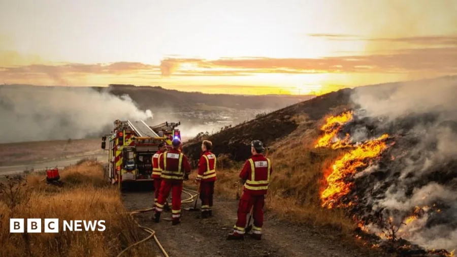 Firefighters and public 'knowingly put at risk' during summer wildfires