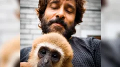 Indian actor's video with endangered gibbon sparks investigation