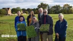 Plans to create a wildflower meadow take shape