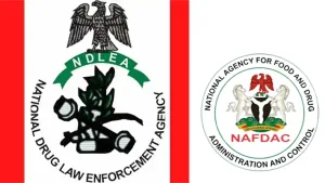 Suspected alcohol poisoning: Ondo activates multi-agency investigation team as death toll rises