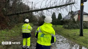 Minister to bring forward storm compensation law