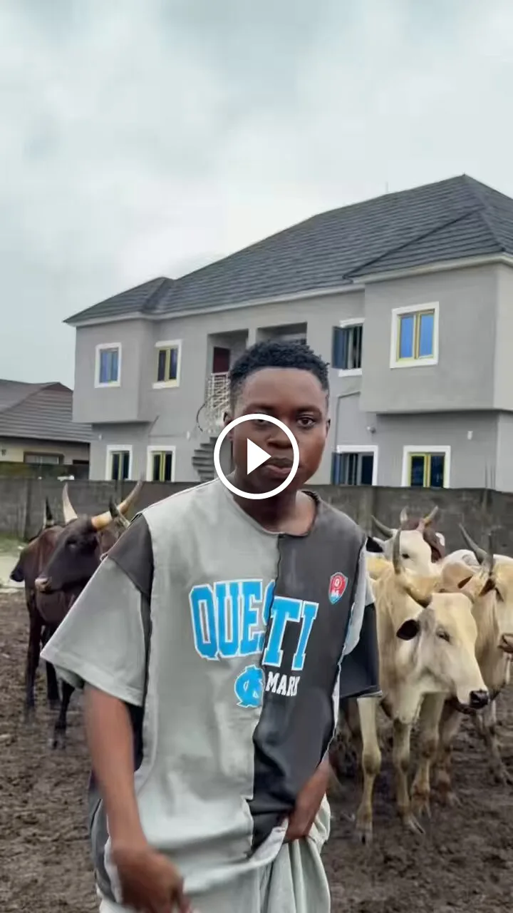 Peller Shows Off 12 Cows He Received For His Wedding