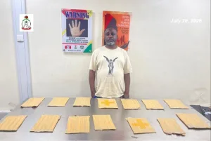 Lagos trader arrested over cocaine concealed in food cartons bound for UK