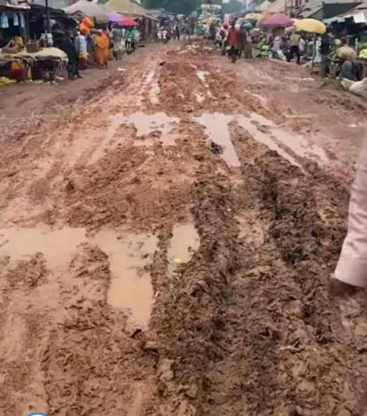Nasarawa govt shuts tomato market over sanitation violations