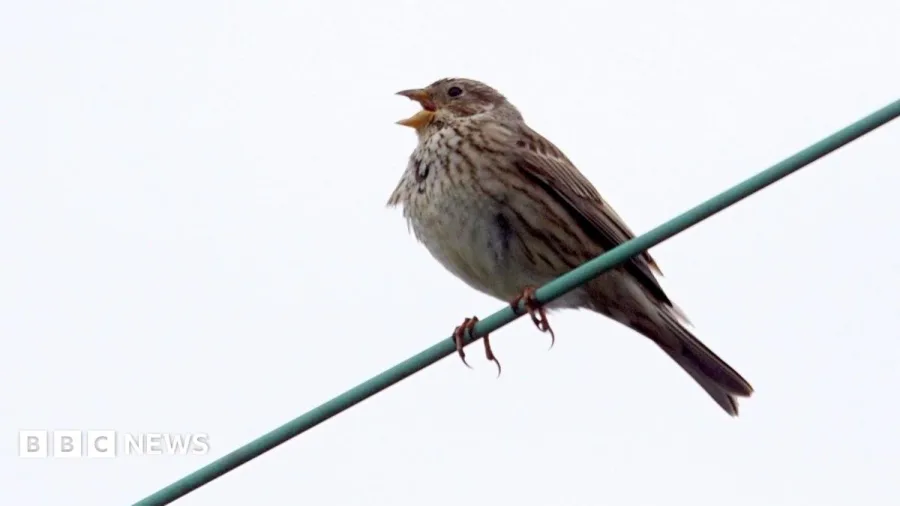 Estate records 'abundance' of wildlife despite drought