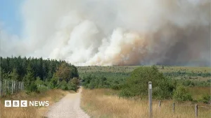 Firefighters battle wildfire tearing through Belgian nature reserve