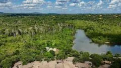 Brazil's Amazon sees sharp decline in size of area burned in 2025